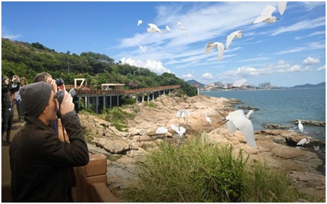 ?如何做好滨水旅游规划设计(附案例)