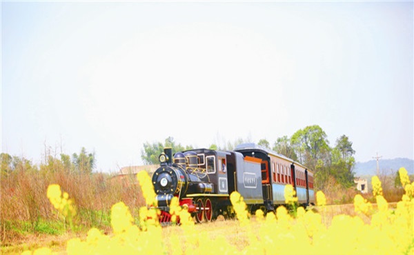 不同类型的田园综合体规划重点以及空间结构和设计要素